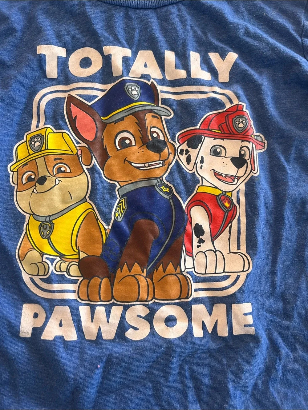 Paw Patrol Blue 'Totally Pawsome' Long-Sleeve Shirt